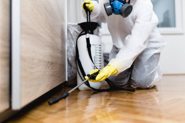 Trusted Toluca, IL Pest Control Experts