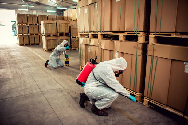 Best Best Pest Control Companies  in Toluca, IL