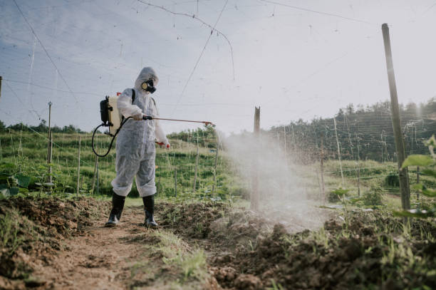 Best Affordable Pest Control Services  in Toluca, IL