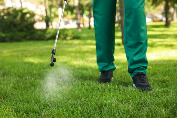 Best Cockroach Control Services  in Toluca, IL