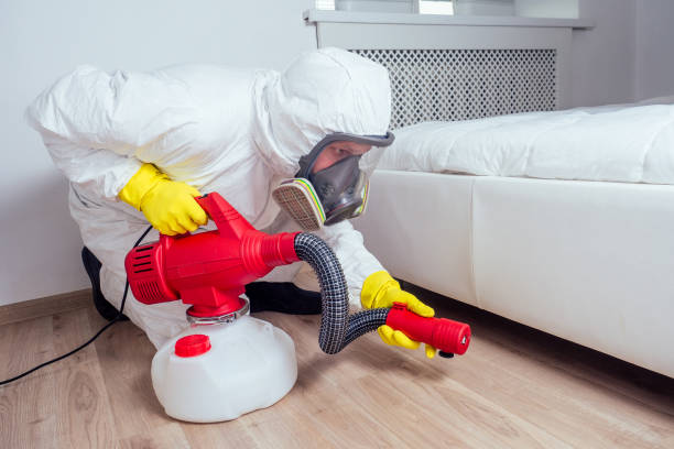 Best Pest Control Treatment  in Toluca, IL