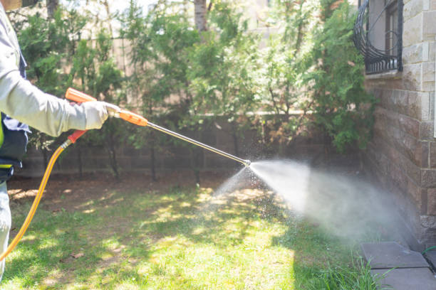 Best Wasp Removal Services  in Toluca, IL