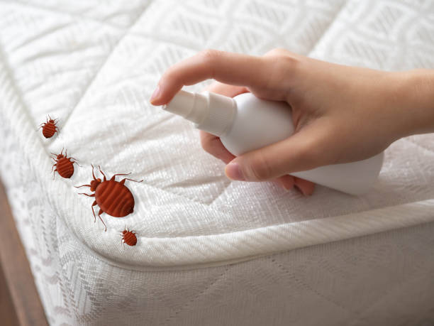 Best Best Pest Control Companies  in Toluca, IL